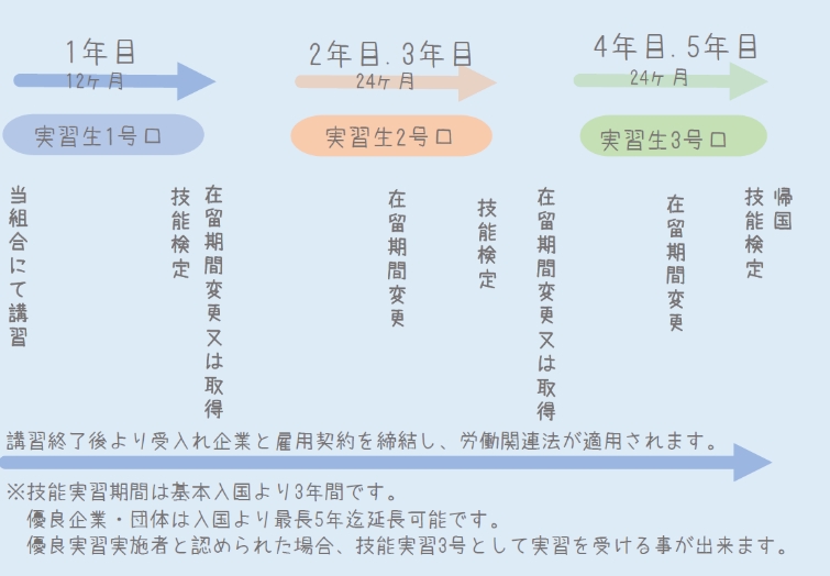 技能実習生について